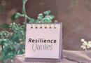 A note pad with the words "Resilience quotes" on the visible page. It sits on a tree stupm with a plant behind it.