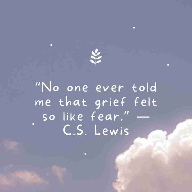 Quotes-Grief-Lewis-1 - Resilient Stories C.S. Lewis quote, "No one ever told me that grief felt so like fear." The image is on a light purple background with clouds.
