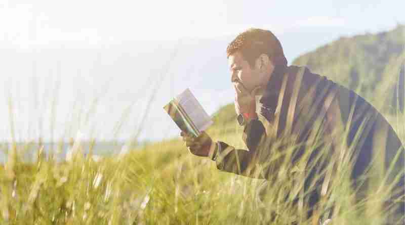 Image of man on a bench reading a book in tall wavy grass by Pexels from Pixabay