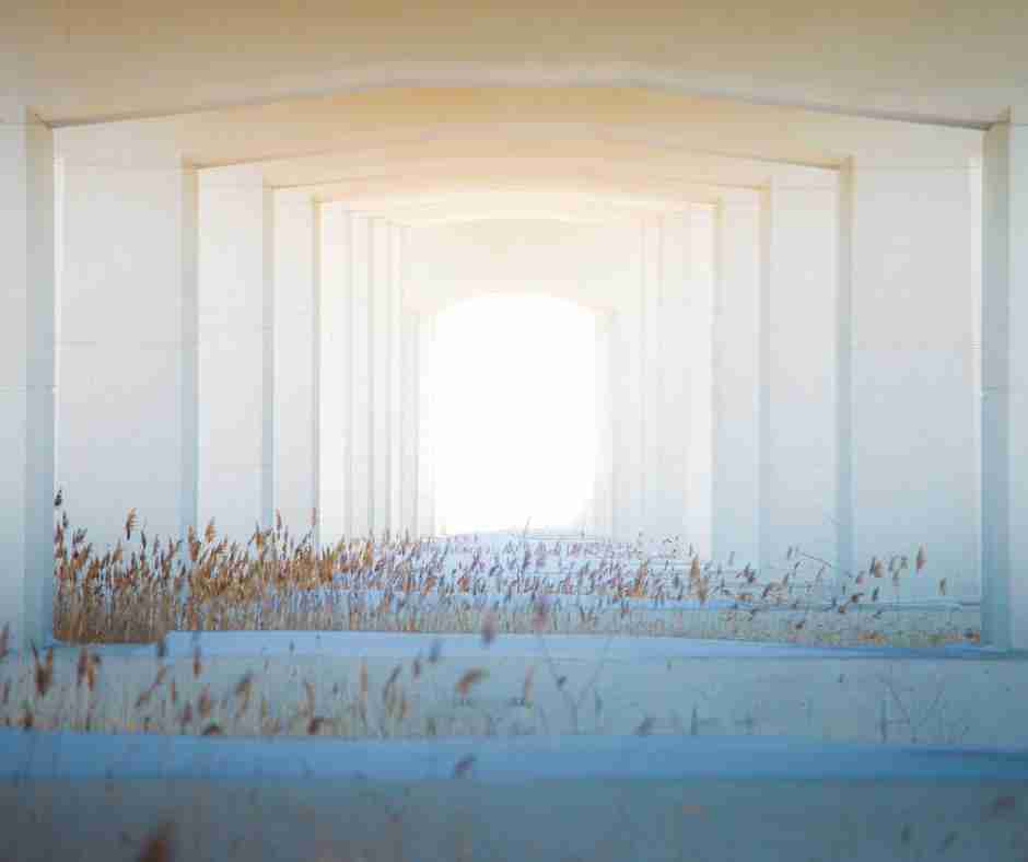 Series of archways in a field, making a tunnel of sorts, with bright sunlight at the end