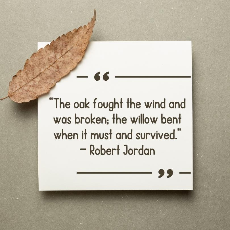 A quote from Robert Jordan that reads, "The oak fought the wind and was broken; the willow bent when it must and survived."