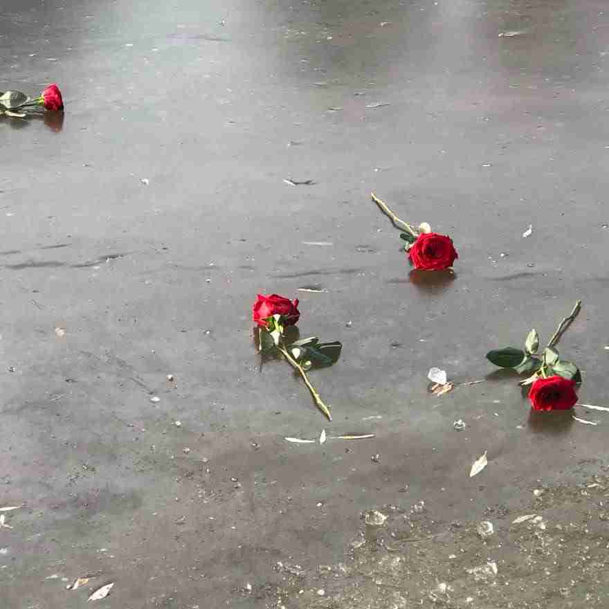 An image Barb took after they scattered Mike's ashes.