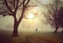 A man is walking down a path at sunrise in a foggy park with birds flying around. This illustrates him moving forward on his path.