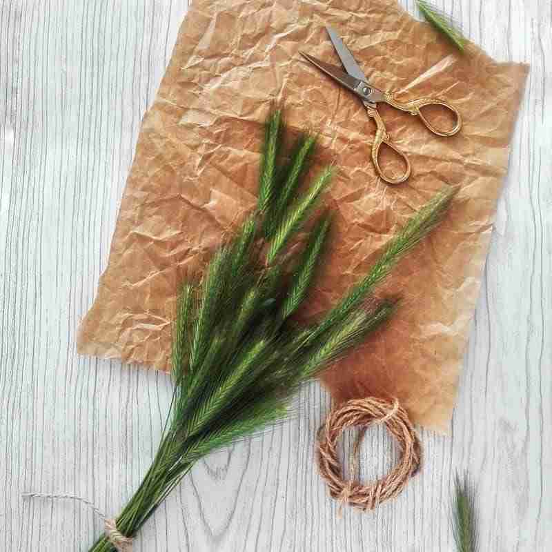 Image of greenery, twine, floral paper, and scissors by Надежда Дягилева from Pixabay.