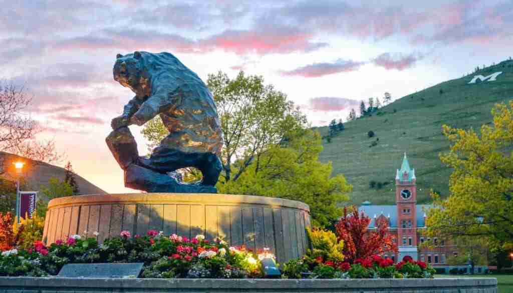 Picture of the Grizzly statue at the center of University of Montana-Missoula, with the iconic clock tower and "M" mountain in the background.