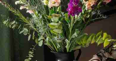 Hand with scissors cutting, flower arranging in a vase. Photo by micheile henderson on Unsplash