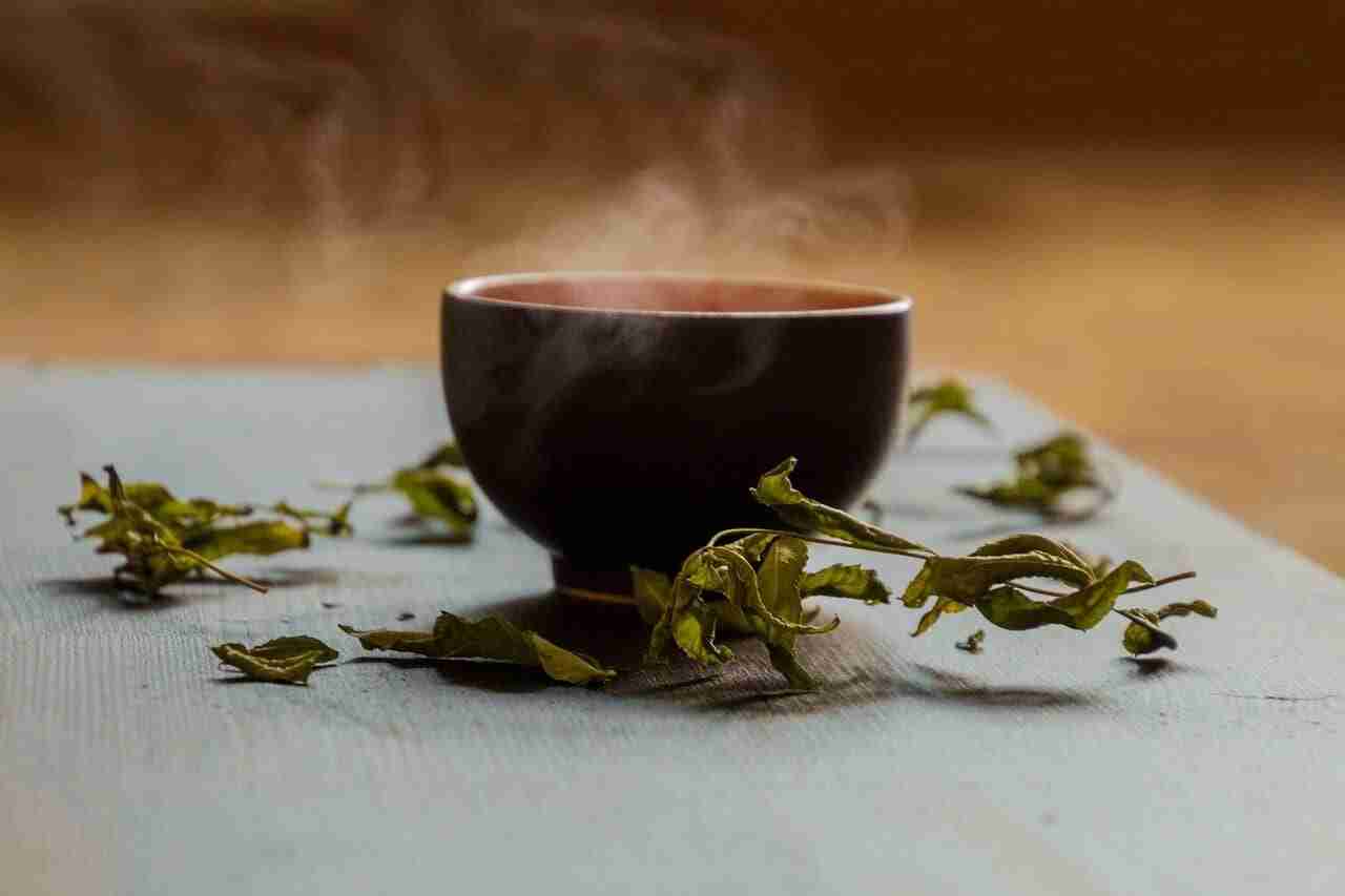 Traditional cup of steaming herbal tea with dried herbs around it.