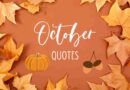 An orange background with orange leaves, a pumpkin, and some acorns. It says October quotes in the center.