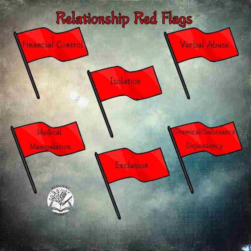 An infographic listing some read flags of coercive control found in Lynae's relationship. These include: financial control, isolation, verbal abuse, medical manipulation, exclusion, and chemical/substance dependency.