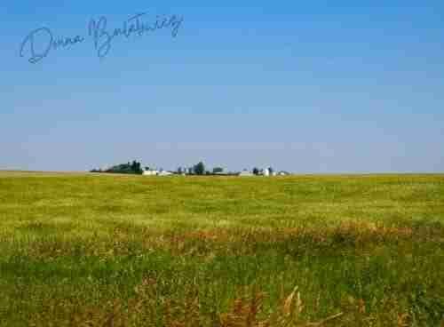 A green field and a farm homestead, taken by the author. The farm will be something she misses dearly after moving away.
