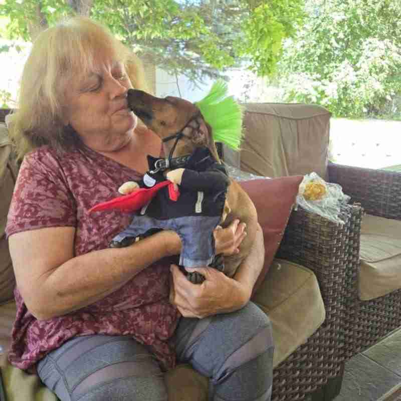 A photo of the author and her dog Little Man.