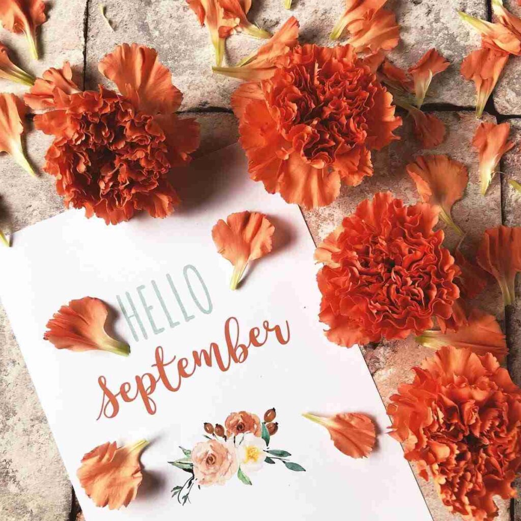 Image by Karen Vincent from Pixabay- orange carnationas surrounding cardstock with decorative lettering that says "hello September"