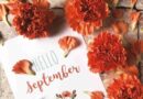 Image by Karen Vincent from Pixabay- orange carnationas surrounding cardstock with decorative lettering that says "hello September"