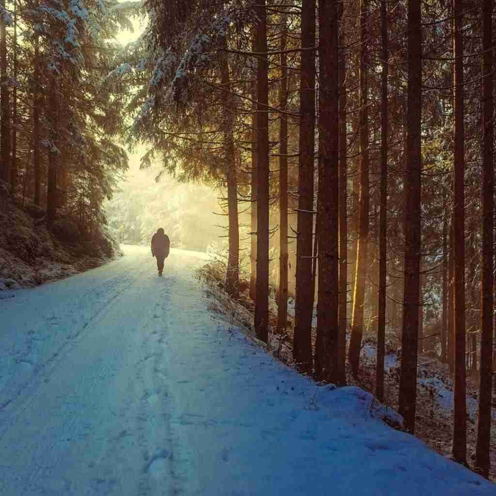 11 - Resilient Stories Photo of person walking alone down snowy road in forest.