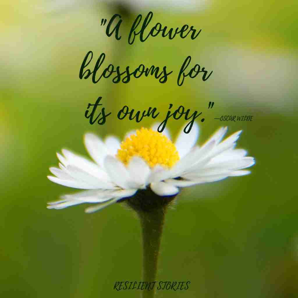 Blossom by blossom, the spring begins. —Algernon Charles Swinburne (2) - Resilient Stories alt=""
