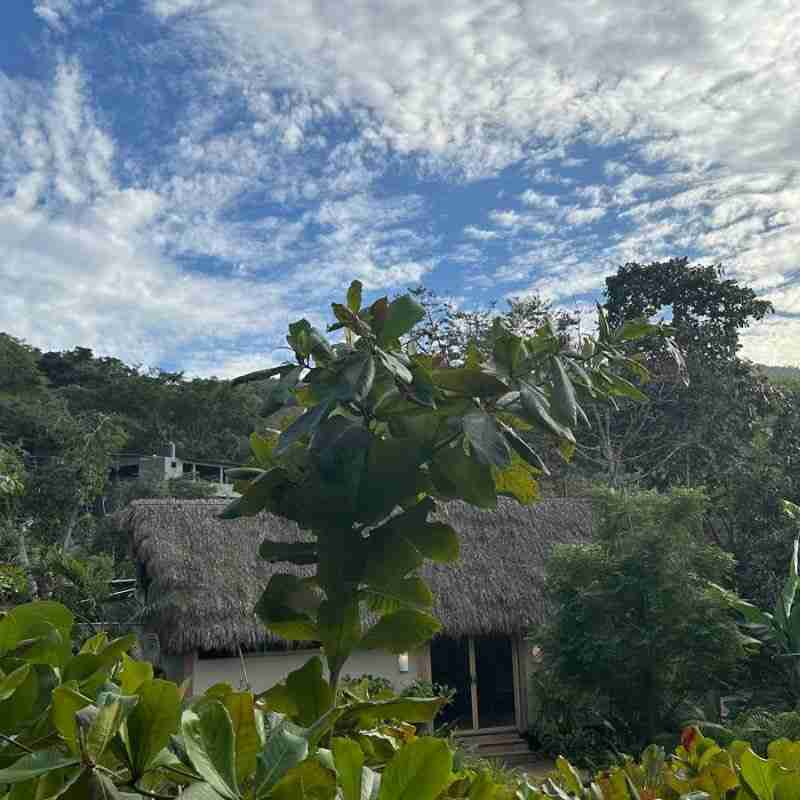 A picture of the lodgings near Xinalani Resort in Qiumixto, Mexico.