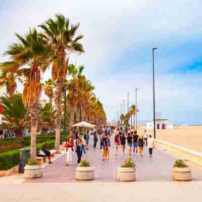 photo of people walking along boardwalk on summer day 