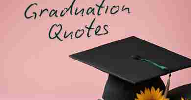 A photo of a graduation cap, a diploma, and some bright sunflowers in front of a pink background and the words "Graduation quotes" written above them in dark green.