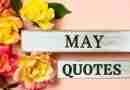 The words May quotes are on two wooden little planks on a pink background with bright roses.