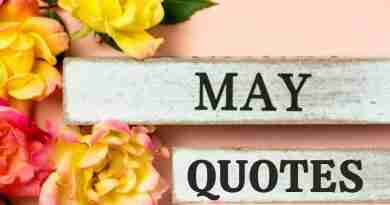 The words May quotes are on two wooden little planks on a pink background with bright roses.