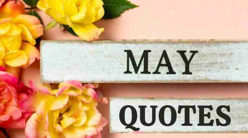The words May quotes are on two wooden little planks on a pink background with bright roses.