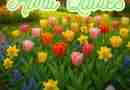AI-generated image of tulips and daffodils blooming in a garden with text that says "April Quotes"