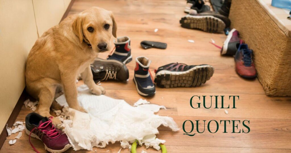 An adorable puppy sits in the middle of the chaos it created with a guilty look on its face. The words guilt quotes appear in the corner.