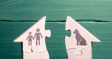A photo of puzzle pieces depicting a parent and child, pets, cars, and money. Things that typically require new placement or decisions during family transitions.
