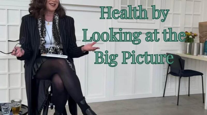 A photo of the author presenting to a room about we need to redefine health and look at the bigger picture.