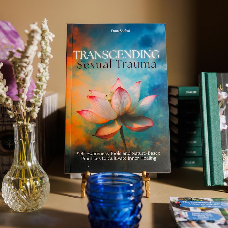 A photo of Dina Saalisi's book.